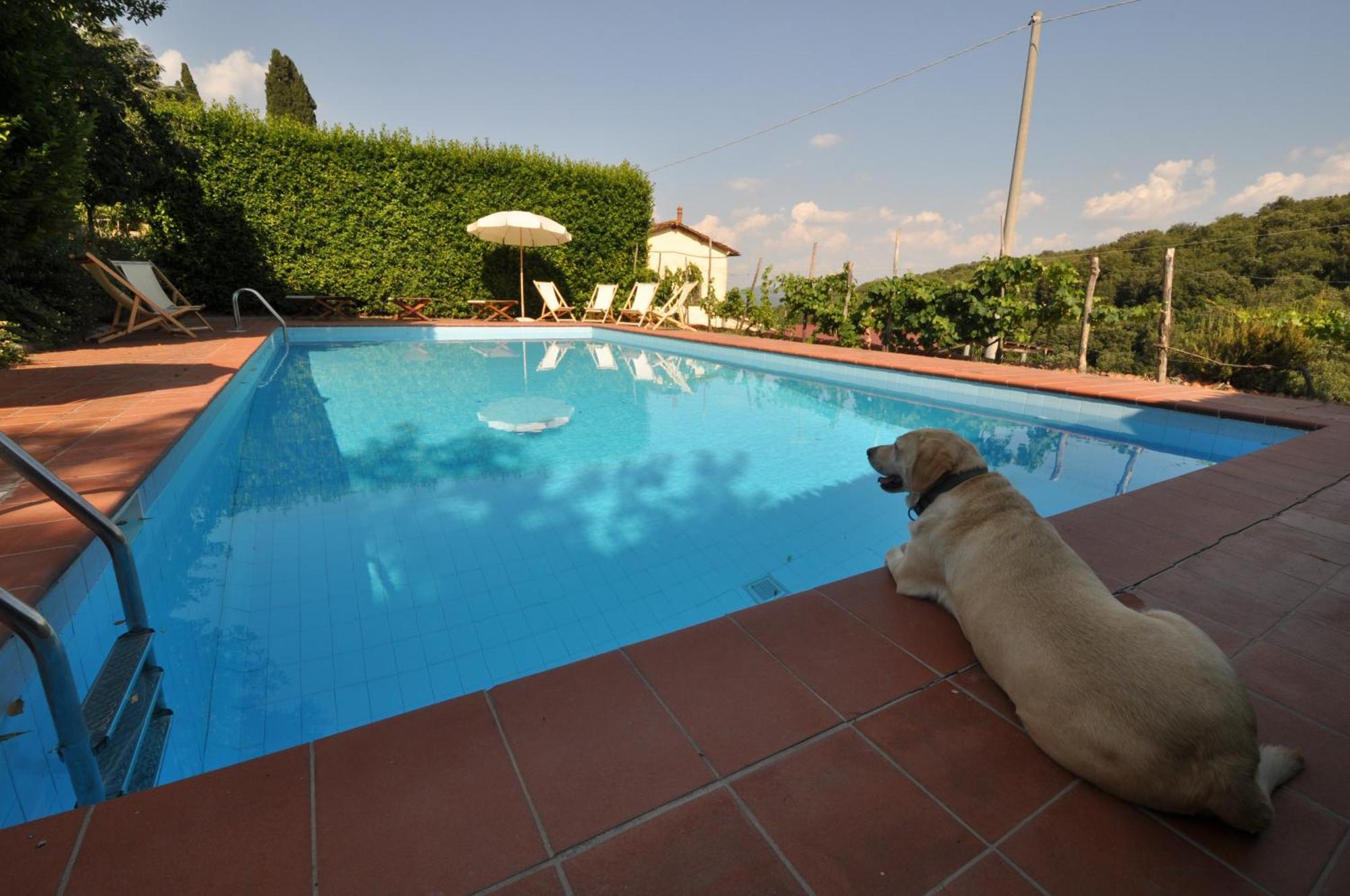 Villa Petrolo Bucine Exterior foto